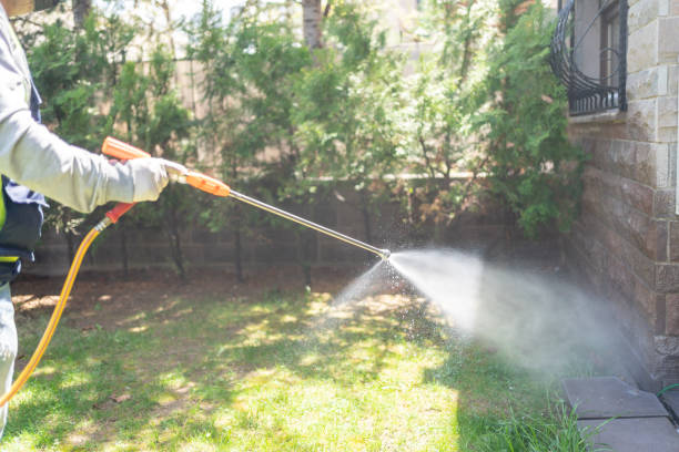 Reliable Wallace, NC Pest control Solutions